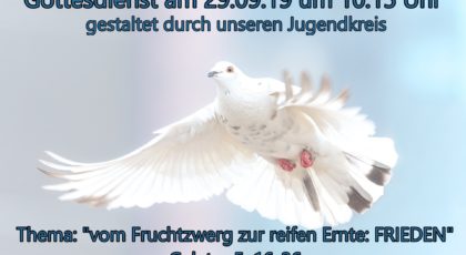 Vom Fruchtzwerg zur reifen Ernte: Friede
