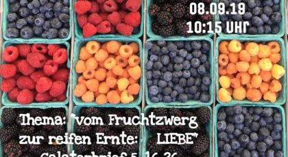 Vom Fruchtzwerg zur reifen Ernte: Liebe