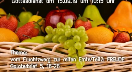 Vom Fruchtzwerg zur reifen Ernte: Freude